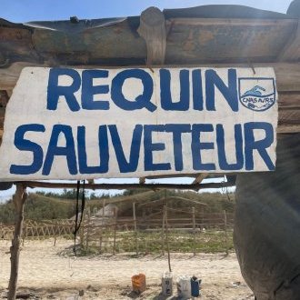 Requin sauveteur
