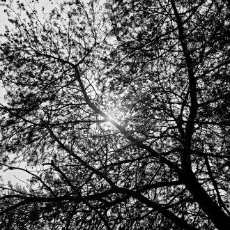 Long métrage