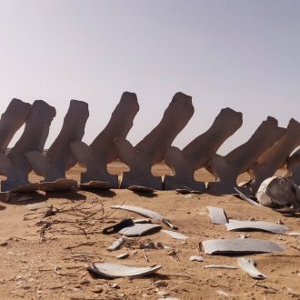 Dans une pathétique nudité