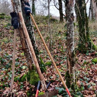Prévenir la délinquance