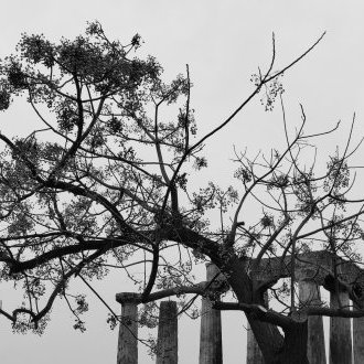 Sensation de plénitude étiolée