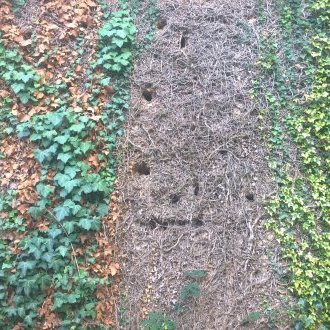 Ingénues espérances révolutionnaires