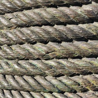 Principes de soumission et de conformité à l'orthodoxie