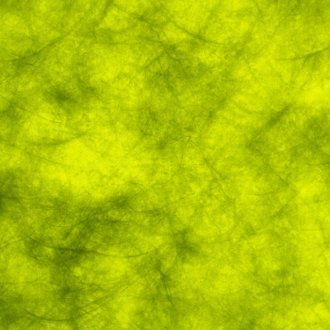 Sous un voile de glamour prasin