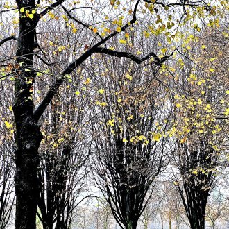 Affrontement dit de « haute intensité »