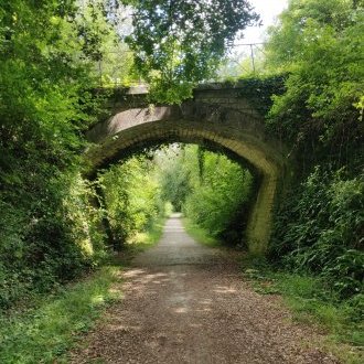 Comme un thriller que l'on reprendrait à sa première page