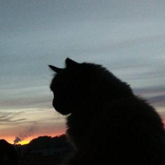 Inaptitude à la conscription